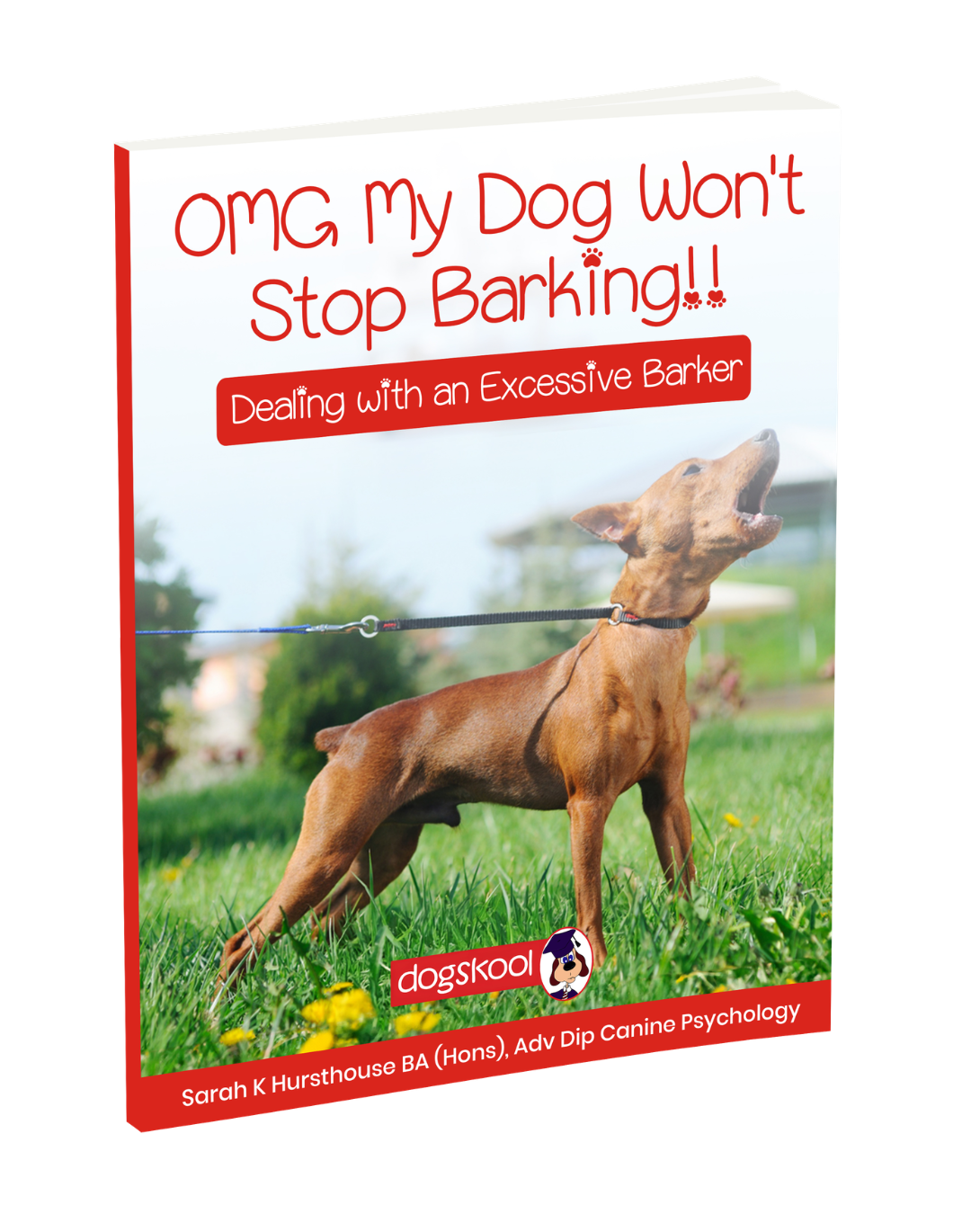 OMG My Dog Won't Stop Barking!