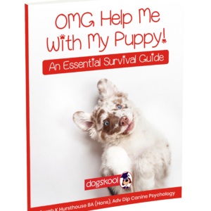 OMG Help Me With My Puppy!