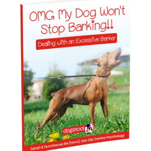 OMG My Dog Won't Stop Barking!
