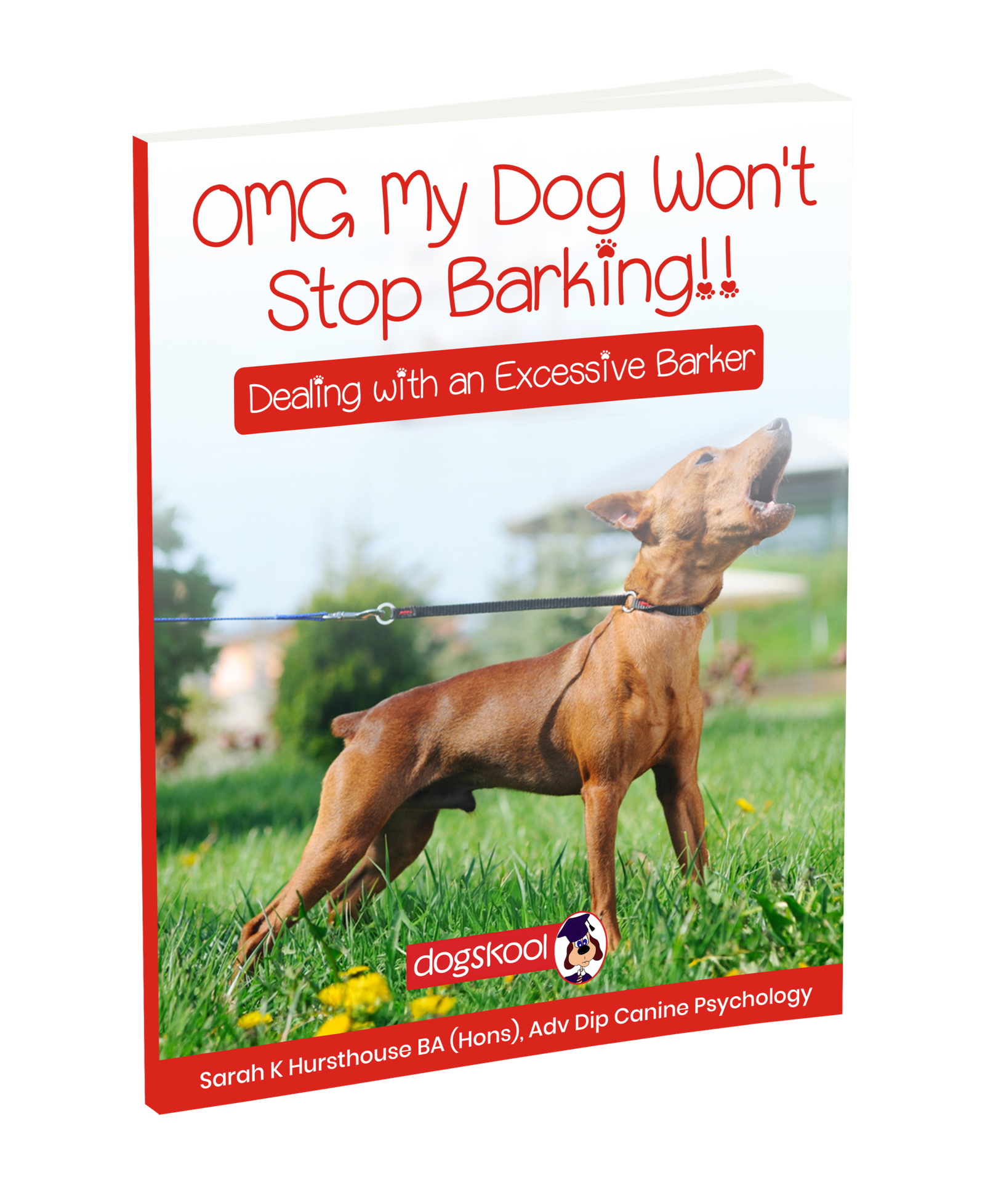 OMG My Dog Won't Stop Barking!