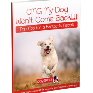 OMG My Dog Won't Come Back!