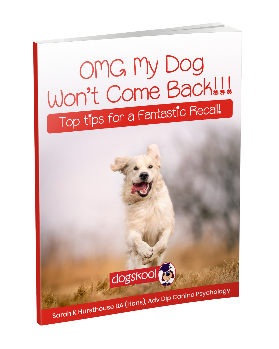 OMG My Dog Won't Come Back!