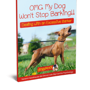 OMG My Dog Wont Stop Barking!