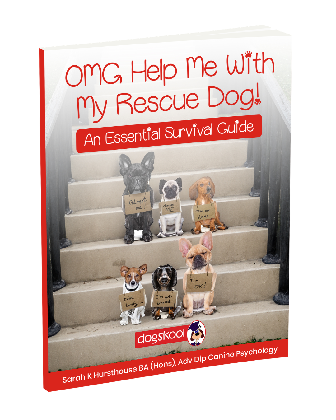 OMG Help Me With My Rescue Dog!