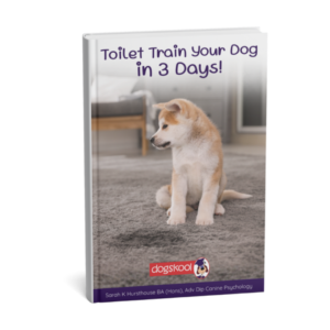 Toilet Train Your Dog in 3 Days