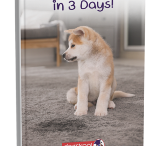 Toilet Train Your Dog in 3 Days