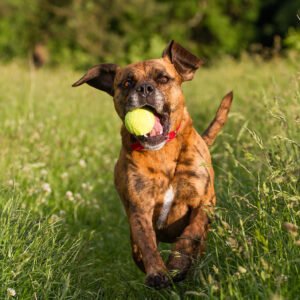 The deeper issues training package