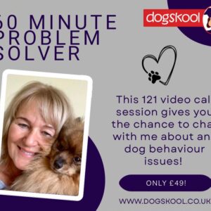 60 Minute Problem Solver - your chance to chat with me online about your dog's issues
