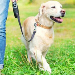 The reactive dog training package