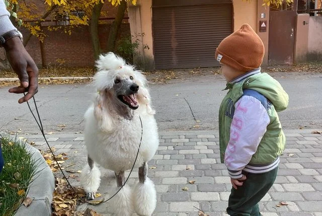 Dogs and children…..best of friends or potential enemies???